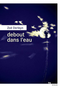 Debout dans l'eau - Derleyn Zoé