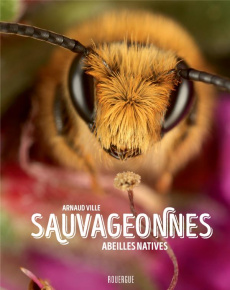 Sauvageonnes. Abeilles natives - Ville Arnaud