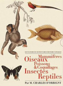 Les Planches du Dictionnaire d'Histoire Naturelle. Coffret 5 volumes : Mammifères ; Oiseaux ; Poisso - Orbigny Charles d'