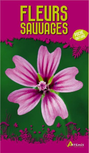 Fleurs sauvages - Polese Jean-Marie