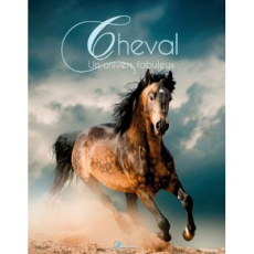 Cheval. Un univers fabuleux - Dal'Secco Emmanuelle
