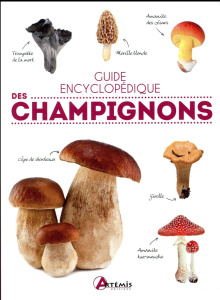 Guide encyclopédique des champignons - POLESE JM