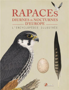 Rapaces diurnes et nocturnes d'Europe. L'encyclopédie illustrée - Böhre Paul ; De Raedt Joris ; Legentil Elise