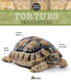 Tortues terrestres - Keller Gerti ; Schneider Eva-Grit ; Butler Emily