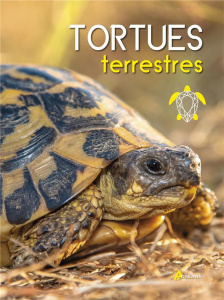Tortues terrestres - Highfield Andrew ; Highfield Nadine ; Reed Martin