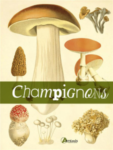 Champignons - COLLECTIF