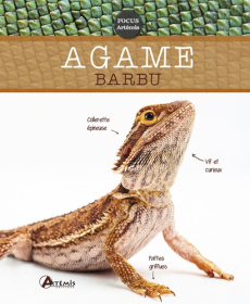 Agame barbu - Preisser Werner ; Bertrand Pierre