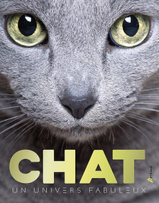 Chat, un univers fabuleux - Dal'Secco Emmanuelle