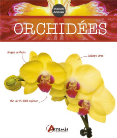 Orchidées - Koenig Odile ; Pernot Georges