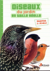 Les oiseaux du jardin en taille réelle - COLLECTIF