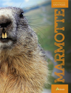 Marmotte - Dupérat Maurice