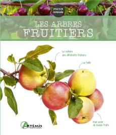 Arbres fruitiers - COLLECTIF