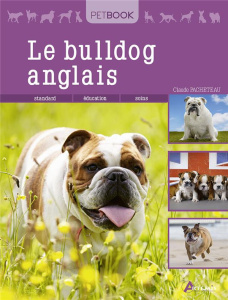 Le bulldog anglais - Pacheteau Claude