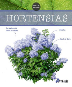 Hortensias - Sasias Gérard ; Dupuy Nathalie
