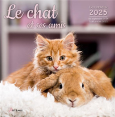 Le chat et ses amis. Calendrier de septembre 2024 à décembre 2025, Edition 2025 - COLLECTIF