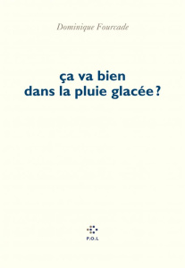 Ça va bien dans la pluie glacée ? - Fourcade Dominique