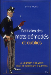 Le petit dico des mots démodés et oubliés - Brunet Sylvie