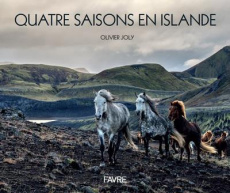Quatre saisons en Islande - Joly Olivier