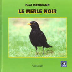 Le merle noir - Isenmann Paul