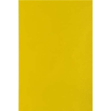 Les yeux brûlés de songes - Bertrand Anne ; Chevillon Vincent