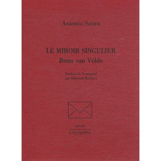 Le miroir singulier. Bram van Velde - Saura Antonio