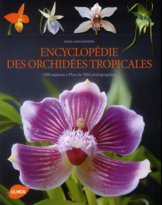 Encyclopédie des orchidées tropicales. 1200 espèces, plus de 1000 photographies - Descouvrières Pascal ; Hervouet Jean-Michel ; Debr
