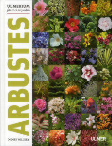 Arbustes - Willery Didier