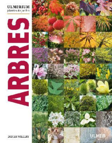 ARBRES - WILLERY DIDIER