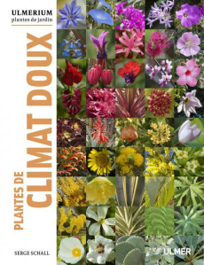 Plantes de climat doux - Schall Serge