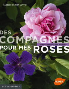 Des compagnes pour mes roses. Idées d'associations au jardin - Olikier-Luyten Isabelle ; Willery Didier