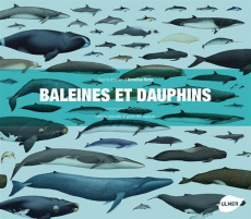 Baleines et dauphins. Histoire naturelle et guide des espèces - Berta Annalisa ; Louisy Sylvie