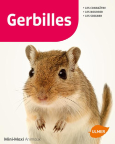 Gerbilles - Schmidt-Röger Heike