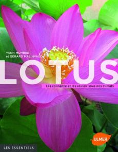 Lotus. Les connaître et les réussir sous nos climats - Mumber Yann ; Malinvaud Gérard ; Biles Paula