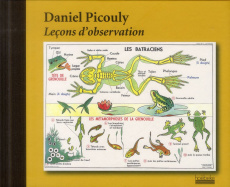 Leçons d'observation - Picouly Daniel