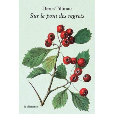 Sur le pont des regrets - Tillinac Denis