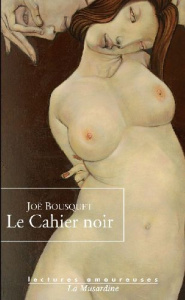 Le Cahier noir - Bousquet Joë