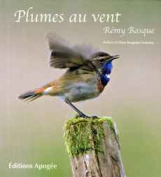Plumes au vent - Basque Rémy ; Bougrain Dubourg Allain