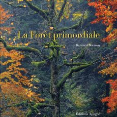 La Forêt primordiale - Boisson Bernard