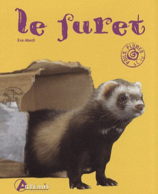 Le furet - Abedi Eva