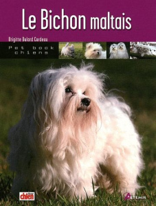 Le bichon maltais - Bulard Cordeau Brigitte
