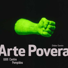 Arte Povera - Semin Didier