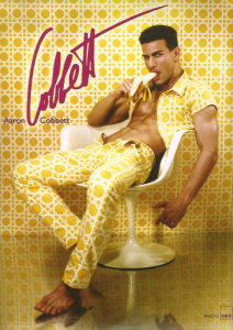 Aaron Cobbett. Edition bilingue français-anglais - Cobbett Aaron ; McClemont Doug