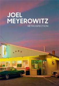 Rétrospection - Meyerowitz Joel ; Delaby Marie