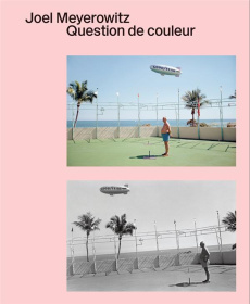 Question de couleur - Meyerowitz Joel ; Shore Robert ; Delaby Marie