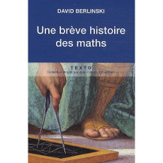 Une brève histoire des maths - Berlinski David ; Demazure Hélène