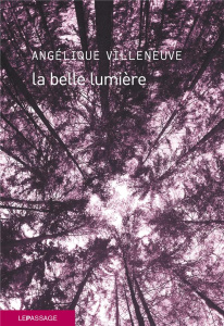 La belle lumière - Villeneuve Angélique