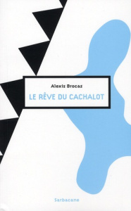 Le rêve du cachalot - Brocas Alexis