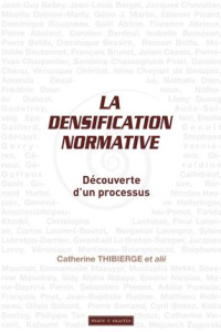 La densification normative. Découverte d'un processus - Thibierge Catherine