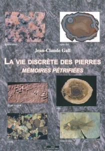 La vie discrète des pierres. Mémoires pétrifiées - Gall Jean-Claude
