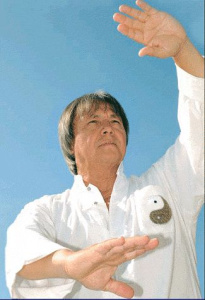 Qi Gong de la santé intégrale. Augmenter votre énergie d'une façon exceptionnelle - Wan der Heyoten Louis